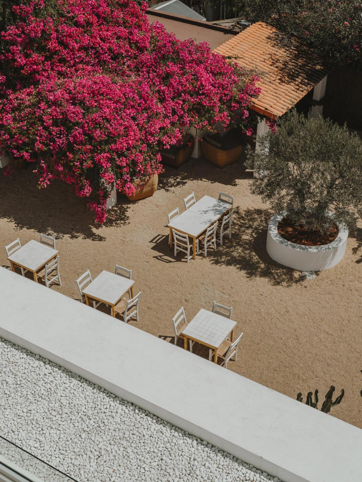 Ibara Ibiza Hotel Boutique Es Cana エクステリア 写真